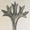 Photogravure Karl Blossfeldt, Fleur, Noir & Blanc, 1942, Encadrée 6