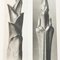 Photogravure Karl Blossfeldt, Fleur, Noir & Blanc, 1942, Encadrée 5