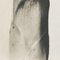 Karl Blossfeldt, Flower, Black & White Photogravure, 1942, Framed 10