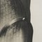 Fotograbado en blanco y negro de Karl Blossfeldt, 1942, enmarcado, Imagen 14