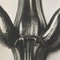 Karl Blossfeldt, Flower, Black & White Photogravure, 1942, Framed 8