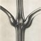 Karl Blossfeldt, Fiore, bianco e nero, 1942, Incorniciato, Immagine 6