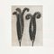 Photogravures Karl Blossfeldt, Fleurs, Noir & Blanc, 1942, Encadrée, Set de 3 8