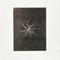 Photogravures Karl Blossfeldt, Fleurs, Noir & Blanc, 1942, Encadrée, Set de 3 9