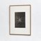 Karl Blossfeldt, Flowers, Black & White Photogravures, 1942, Framed, Set of 3 10