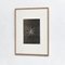 Karl Blossfeldt, Flowers, Black & White Photogravures, 1942, Gerahmt, 3er Set 10