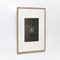 Karl Blossfeldt, Flowers, Black & White Photogravures, 1942, Framed, Set of 3 11