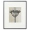 Photogravures Karl Blossfeldt, Fleurs, Noir & Blanc, 1942, Encadrée, Set de 4 5