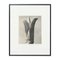 Photogravures Karl Blossfeldt, Fleurs, Noir & Blanc, 1942, Encadrée, Set de 4 2