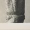 Karl Blossfeldt, Flowers, Black & White Photogravures, 1942, Gerahmt, 4er Set 15