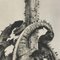 Karl Blossfeldt, Black & White Flower Fotografie, 1942, Heliogravüre 13