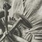 Karl Blossfeldt, Black & White Flower Photograph, 1942, Photogravure 14