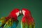 Stampa fotografica Fine Art di Tim Platt, Macaw #2, 2013, Immagine 2