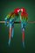 Tim Platt, Macaw #2, Tirage Photographique, 2013 1