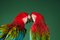 Stampa fotografica Fine Art di Tim Platt, Macaw #2, 2013, Immagine 7