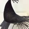 Michel Anasse, Bird Sculpture, 1960, Metal 10