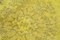 Vintage Yellow Overdyed Runner Rug, Image 5