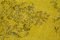 Alfombra de pasillo vintage sobreteñida en amarillo, Imagen 5