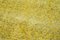 Alfombra de pasillo sobreteñida en amarillo, Imagen 5