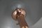 Lámpara de mesa Bauhaus Big Mushroom, años 30, restaurada, Imagen 10