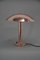 Lámpara de mesa Bauhaus Big Mushroom, años 30, restaurada, Imagen 3