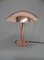 Lámpara de mesa Bauhaus Big Mushroom, años 30, restaurada, Imagen 11
