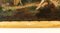 Después de Jean-Antoine Watteau, The Serenade, principios del siglo XIX, óleo sobre lienzo, Imagen 10