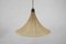 Tulip Cocoon Hanging Lamp by Munich Workshops, Germany, 1960s 5