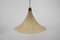 Tulip Cocoon Hanging Lamp by Munich Workshops, Germany, 1960s, Image 5