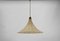 Tulip Cocoon Hanging Lamp by Munich Workshops, Germany, 1960s 10