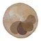 Round Brown Flower Rug from Desso, 1970s 5