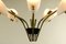 German Brass and Acrylic Glass Chandelier, 1950s 5