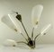 German Brass and Acrylic Glass Chandelier, 1950s 11