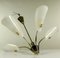 Lámpara de araña alemana de latón y vidrio acrílico, años 50, Imagen 11