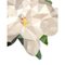 Flower Magnolia 200 Rug from Illulian 3