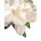 Flower Magnolia 200 Teppich von Illulian 3