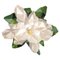 Flower Magnolia 200 Rug from Illulian, Image 1