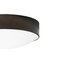 Small Svep Ceiling Lamp in Iron Oxide from Konsthantverk 2