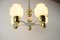 Mid-Century Chandelier/Kamenicky Senov, 1970s, Image 10