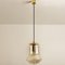 Smoked Brown Glass and Brass Pendant Lights attributed to Peill & Putzler, 1960s, Set of 2, Image 7