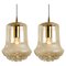 Smoked Brown Glass and Brass Pendant Lights attributed to Peill & Putzler, 1960s, Set of 2 1