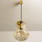 Smoked Brown Glass and Brass Pendant Lights attributed to Peill & Putzler, 1960s, Set of 2 8