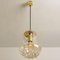 Smoked Brown Glass and Brass Pendant Lights attributed to Peill & Putzler, 1960s, Set of 2 11