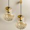 Smoked Brown Glass and Brass Pendant Lights attributed to Peill & Putzler, 1960s, Set of 2 5