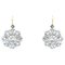 20th Century French 19 Karat Earrings with Rose-Cut Diamonds, Set of 2 1