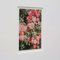 David Urbano, The Rose Garden No. 47, 2017, Photographic Giclee Print, Framed, Image 7