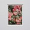 David Urbano, The Rose Garden No. 47, 2017, Photographic Giclee Print, Framed, Image 5