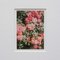 David Urbano, The Rose Garden No. 47, 2017, Stampa fotografica, Incorniciato, Immagine 5