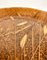 Centro de mesa redondo de acrílico con inclusiones de trigo, años 70, Imagen 5