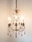 French Chandelier, 19th Century 2